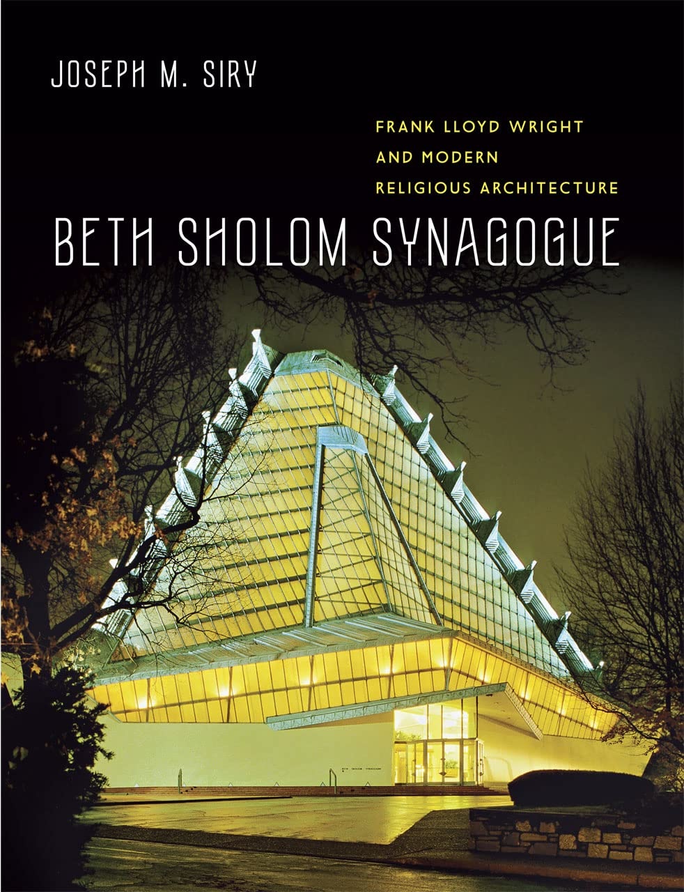 FLW Beth Sholom book