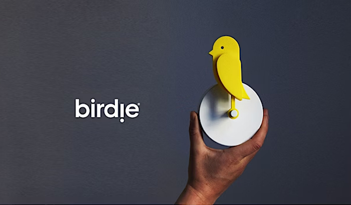 birdie indoor air monitor