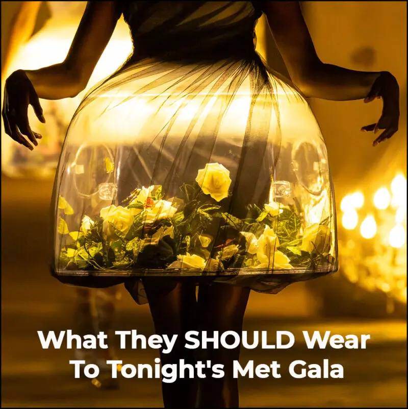 Read more about the article What They SHOULD Wear To Tonight’s Met Gala