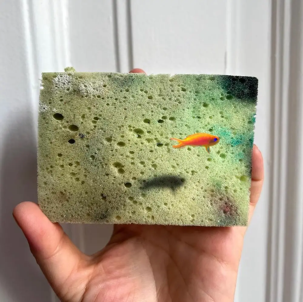 hand-painted goldfish and shadow on a sponge