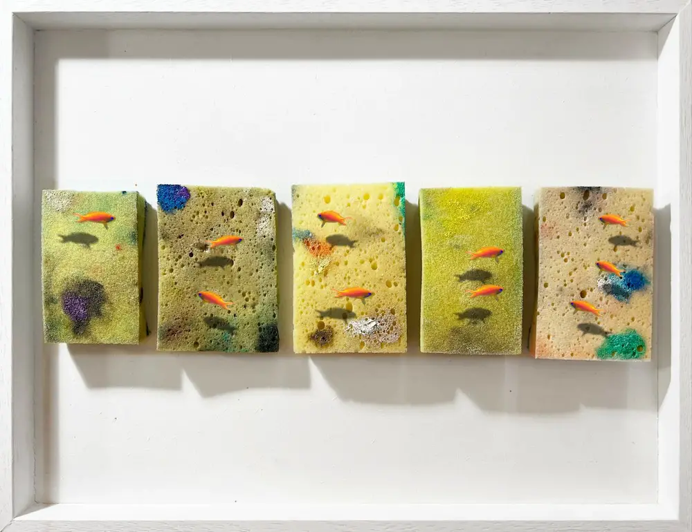 Mixed media on framed sponges
