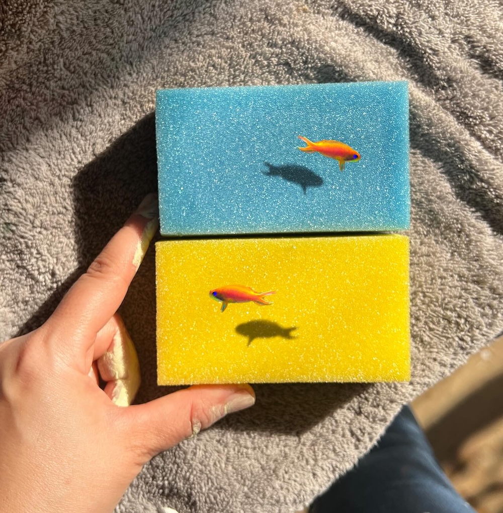 Golsa Golchini hand-painted sponges