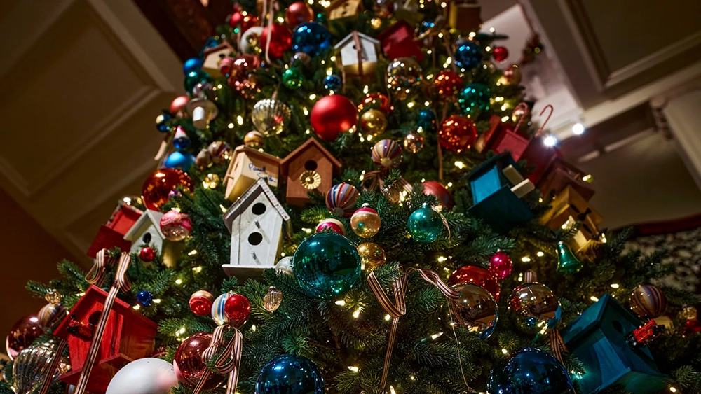 paul smith claridge tree close up