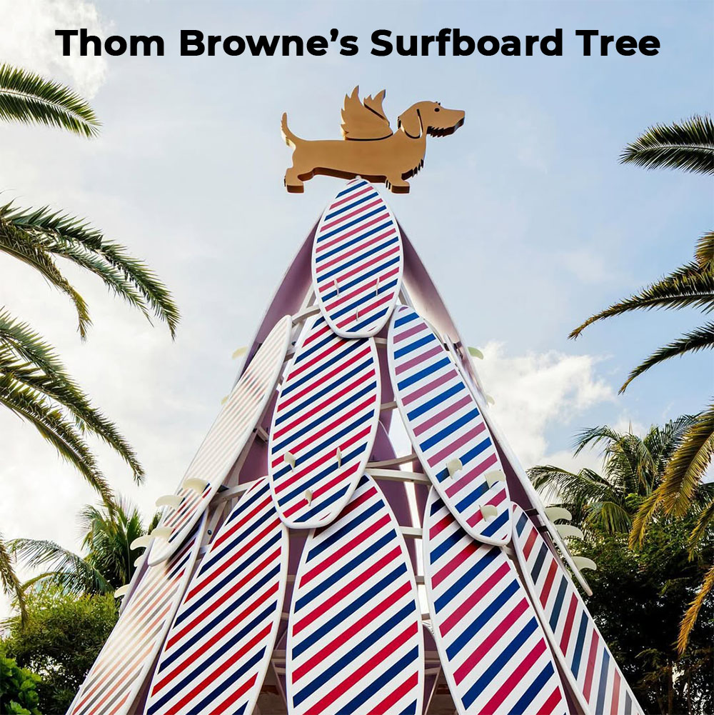 thom brown surfboard tree 2024 hero