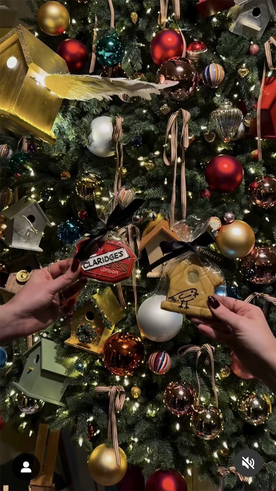 claridge tree details